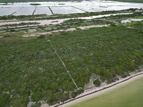 Terreno En Venta, Frente A Playa En San Crisanto, Yucatán