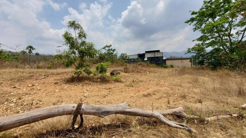 Imagen 6 de 14 de En Venta Terreno En Valencia Guataparo Country Club De 900m2