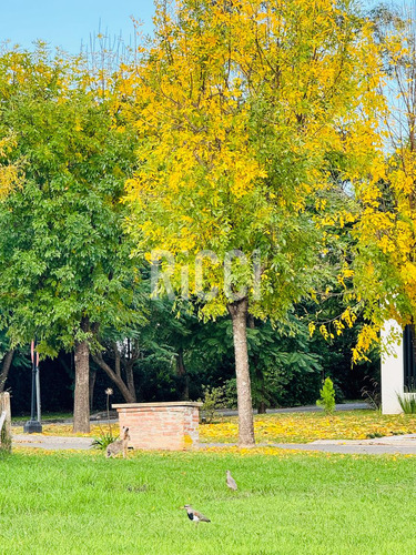 Terreno En Venta Barrancas De Iraola