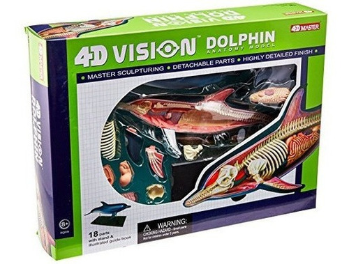 Famemaster 4d-vision Dolphin Anatomy Model