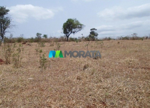 Imagem 13 de 15 de Fazenda - Zona Rural - Ref: 4350 - V-mta4350