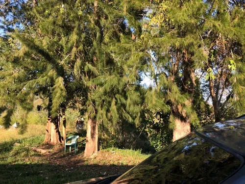 Quinta Club De Campo Obra Gris