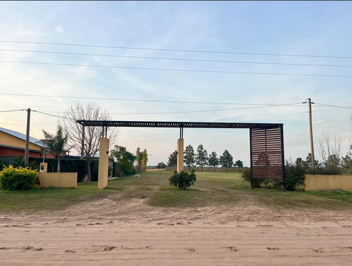 Terreno En Lomas De Punta Arena