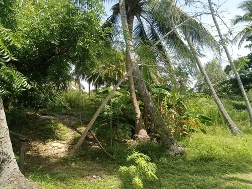 Se Vende Locales En Tucacas