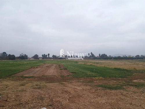 Agrícola En Arriendo En Limache