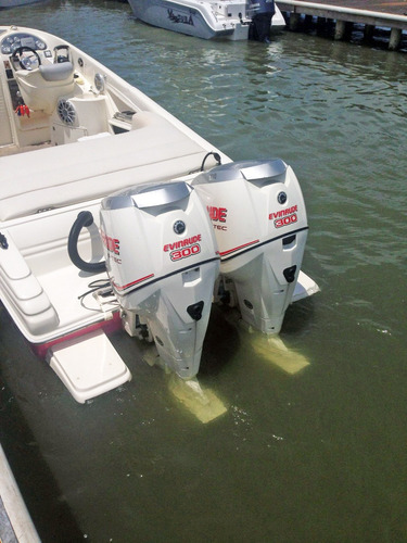 Lancha Promarine 33 Lv2969