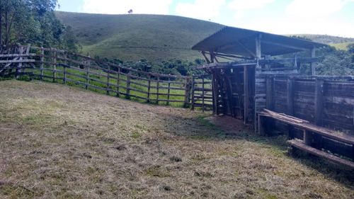 Imagem 10 de 14 de Fazenda Pecuaria Com Cachoeira Fundos Represa Igarata- 4180