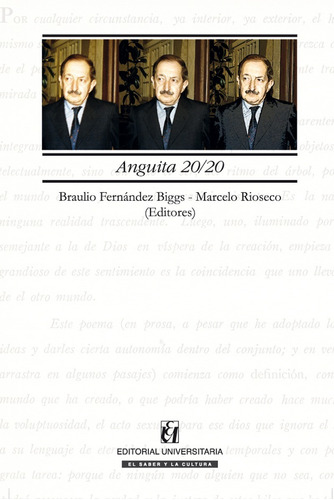 Libro Anguita 20/20. Braulio Fernández Y Marcelo  Rioseco