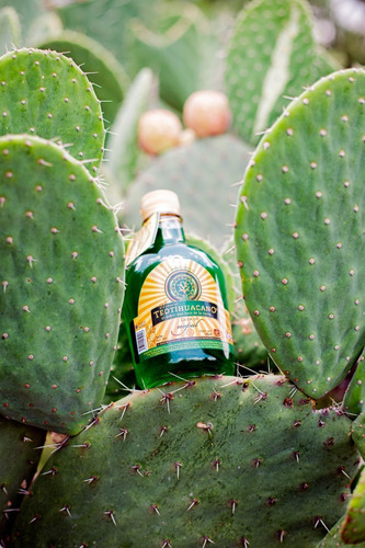 Imagen 5 de 6 de Bebida Artesanal De Nopal 750 Ml