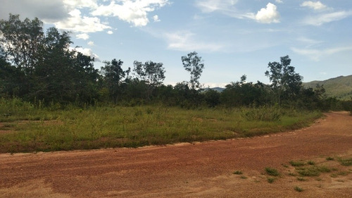 Imagem 6 de 11 de Terra 400 Alqueires