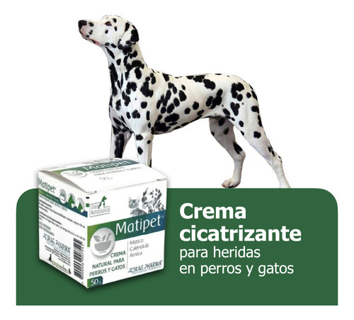 Matipet Crema Matico Perros Y Gatos 50 Grs Cicatriza Heridas