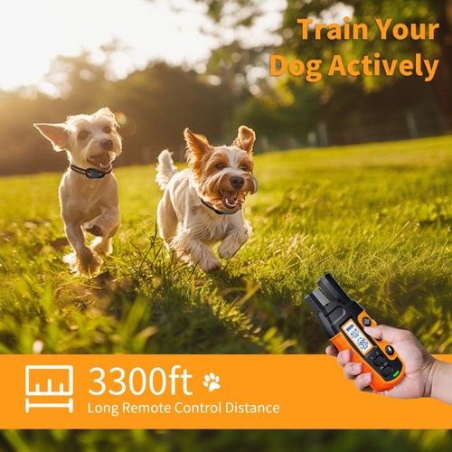 Collares De Adiestramiento Para Perros Con Mando A Distancia