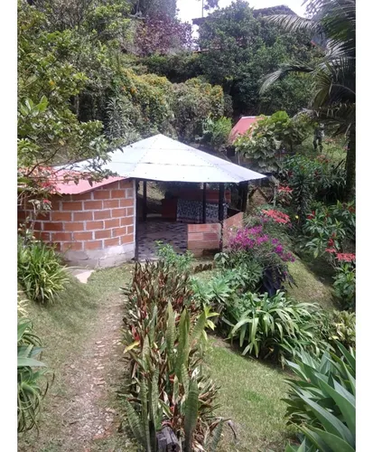 Venta Finca En Caldas