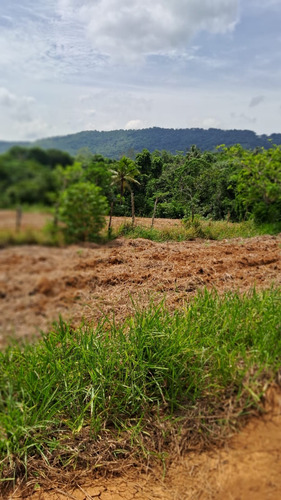 Proyecto Finquitas Campo Verde, Solares Desde 1000mt2