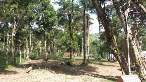 Imagem 24 de 30 de Chácara Com 2 Dorms, Sapateiro, Embu-guaçu - R$ 320 Mil, Cod: 2294 - V2294