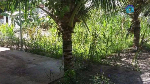 Imagem 11 de 11 de Chácara Residencial À Venda, Conde, Conde. - Ch0043