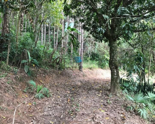 Imagem 30 de 30 de Sitio Em Jarinú Para Venda. - Região De Atibaia - Sp - Escritura Registrada, Definitiva! - St00250 - 69735918