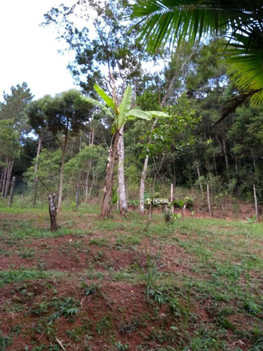 Imagem 13 de 30 de Chácara Com 2 Dorms, Santa Rita, Embu-guaçu - R$ 160 Mil, Cod: 1949 - V1949