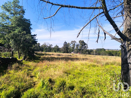 Venta Terreno 0 Ambiente La Mora