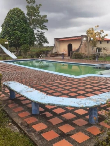 Imagen 3 de 9 de Se Vende Hato En San Agustin De La Pica Ve02-1225vlp-mche