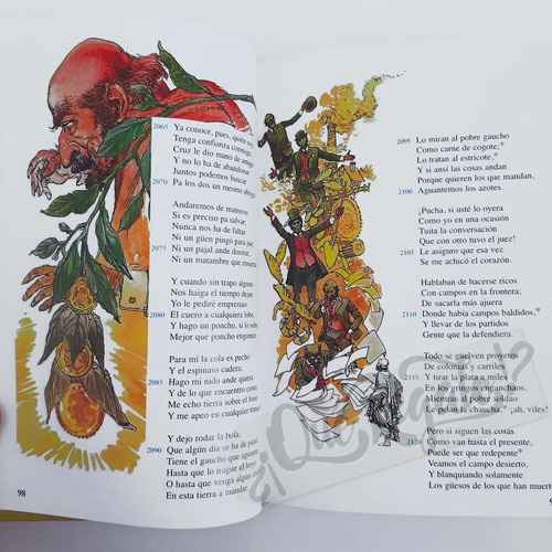 Libro Martin Fierro - Anotada Ilustrada Con Vocabulario -