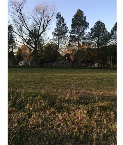 Terreno En Villa Elisa, Nivelado Y Desforestado