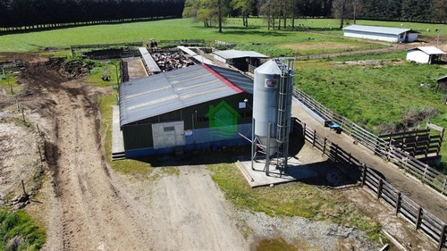 Imagen 4 de 18 de Predio Agrícola En Frutillar
