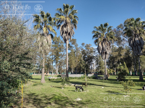 Quinta En Venta En Arturo Segui, La Plata Sobre Lote De 6000 M2