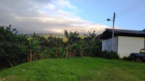 Terreno En Venta Ubicado En Canoabo Bejuma Carabobo 24-15798, Eloisa Mejia