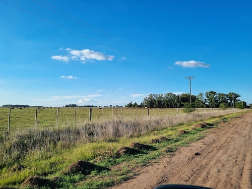 Imagen 8 de 9 de Campo En Venta. Gral Belgrano. Bs As.