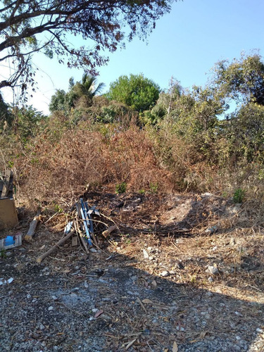 Imagen 16 de 18 de Terreno En Venta 560 Mts. Loma Larga (satelite)