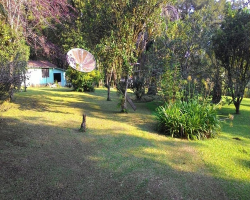 Imagem 21 de 25 de Linda Chácara Com 36.000 M² Ao Lado Do Centro De Quatro Barras - Ch00009 - 4788103