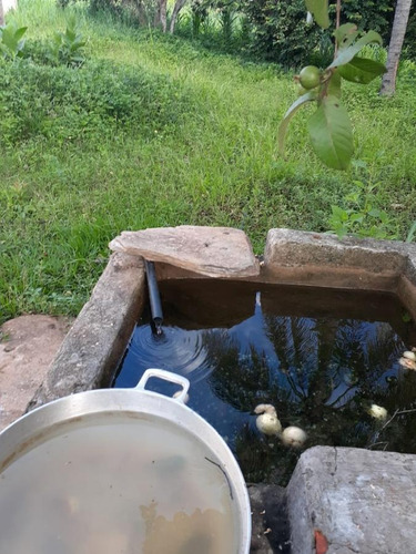 Fazenda Para Venda Em Monjolos, Quebra Pé, 4 Dormitórios, 1 Banheiro - F16_1-1713401