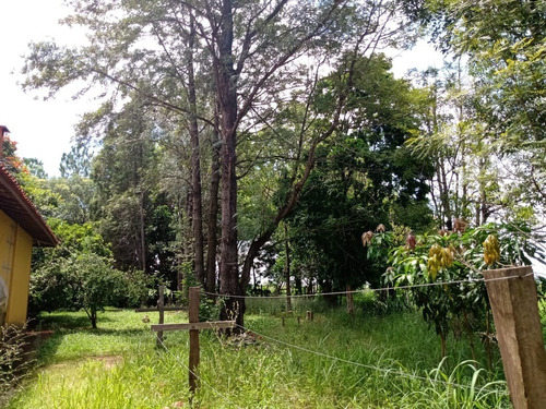 Imagem 16 de 30 de Sítio 23 Alqueires,terra Fértil,muito Boa,rio Fundo Propriedade,benfeitorias Otima Estrutura,casa Sede 3 Dorms 1 Suíte,churrasqueira,piscina - St00050 - 69179656