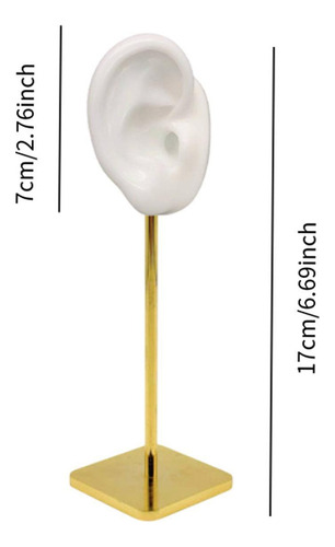 Altura De Soporte De Pendientes De Joyería En Forma Derecho