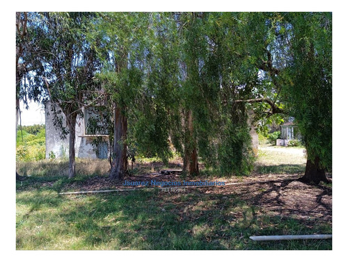 Imagen 10 de 22 de Js: Venta Excelente Chacra Abayuba Cw189854