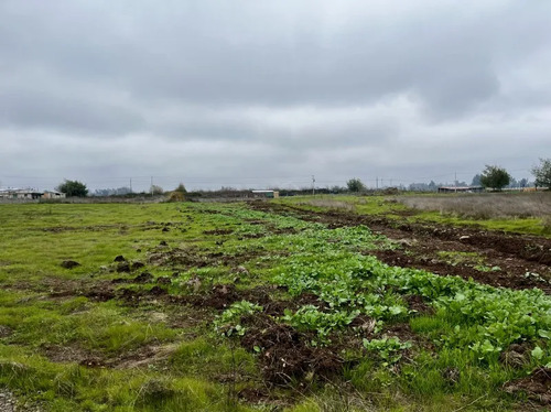 Venta/terreno/teno/quelmén