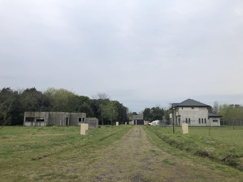 Terreno - Villa Elisa
