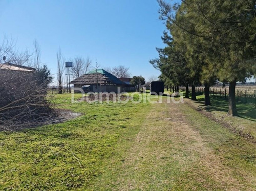 Imagen 30 de 30 de Campo En Venta - General Rodríguez - G.b.a. Zona Oeste