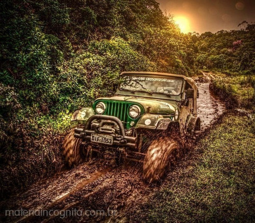 Imagem 4 de 5 de Junta Cabeçote Tampa De Válvulas Jeep Rural F75 Wilhys