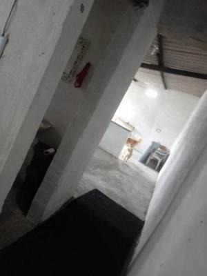 Imagem 6 de 7 de Casa Com 350m² De Área No Bairro Sítio Velho Em Itanhaém.