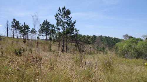 Imagem 13 de 13 de Terreno Com 15 Alqueires Fundo Represa