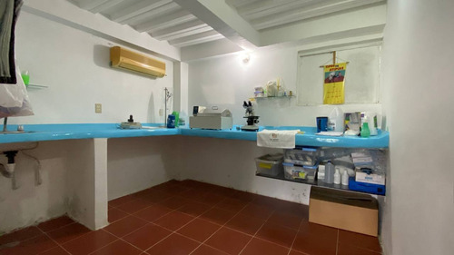 Imagen 17 de 28 de En Venta Granja Porcicola En Las Mesas Via Seboruco