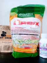 Comprar Kit De Cultivo , Todo Lo Necesario Para Tu Cultivo