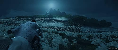 Versión Del Director De Ghost Of Tsushima - Playstation 4