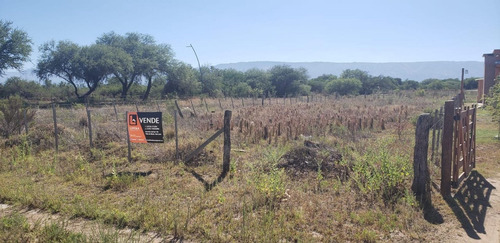 Imagen 4 de 6 de Lote De 532 M2 En Estación Conlara