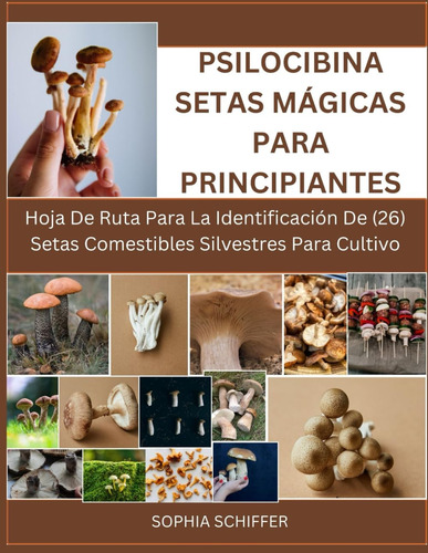 Psilocibina Setas Mágicas Para Principiantes:: Hoja De Ruta