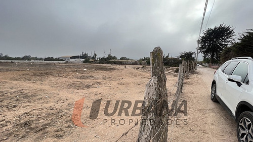 Arriendo Amplio Sitio Sector Pan De Azucar