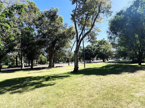 Alquiler Frente Lago Del Parque Rodó Monoambiente Gonzalo Ramírez  Con Calefacción  Central Y Vigila