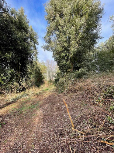 Parcela 6300m2 Arboles Nativos (105986)